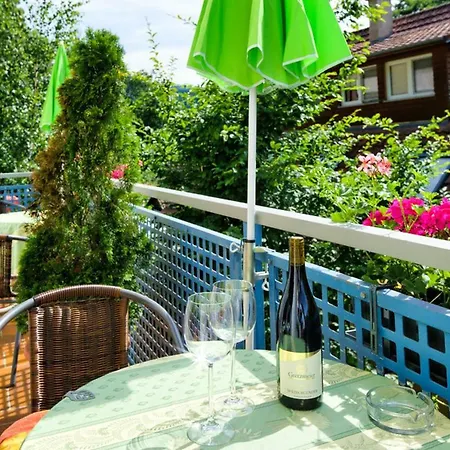 Hotel-bio Am Felsenkeller *